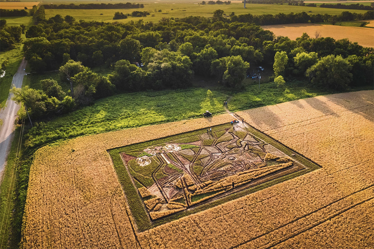 Stan Herd Crop Painting